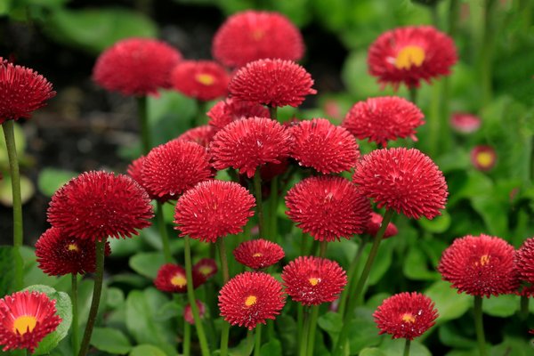 Comment sélectionner le bon type de peinture pour votre salon ?