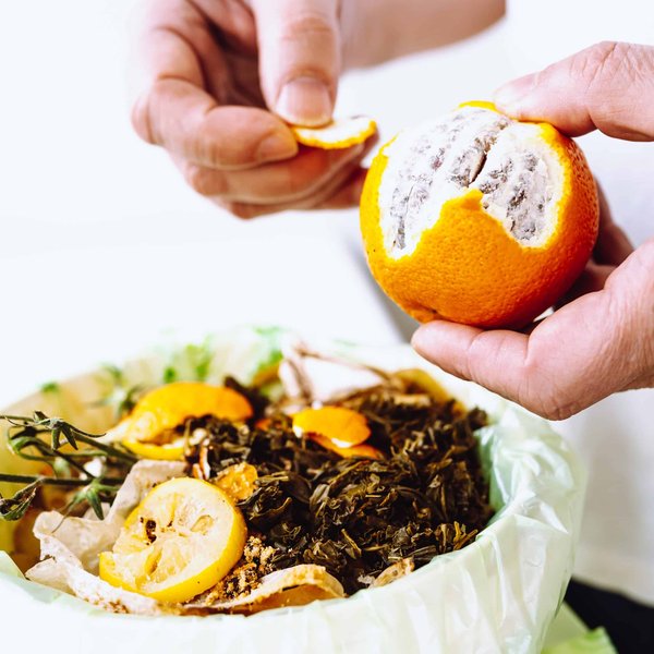 Composteur de jardin : conseils pour trouver le bon