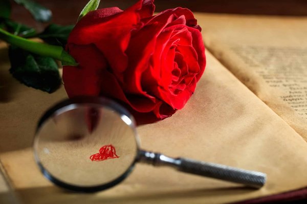 Offrez l'éternité : acheter une rose sous cloche en verre