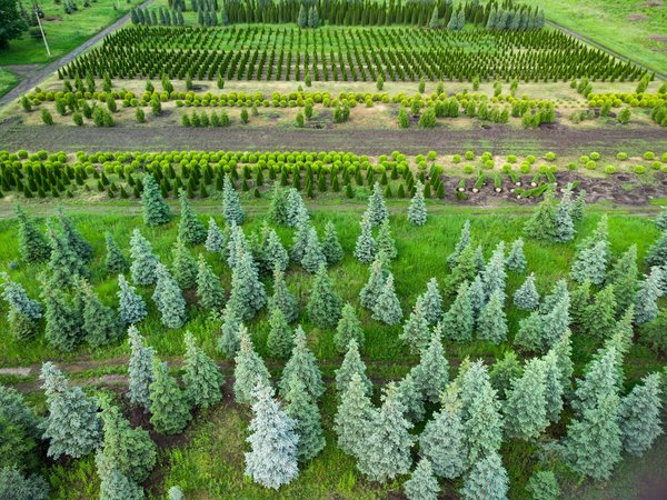 Aménagement extérieur : pourquoi poser du gazon synthétique ?